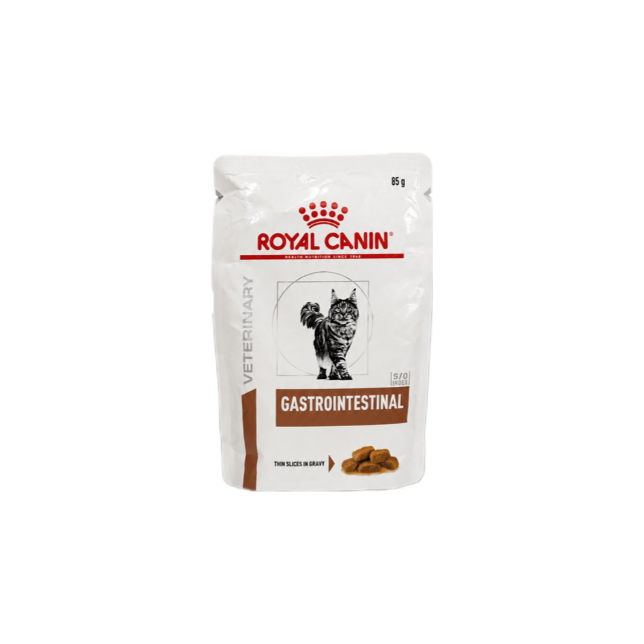 غذای پوچ درمانی گربه رویال کنین گسترو ROYAL CANIN GASTROINTESTINAL